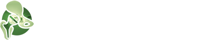 Évelyn de Medeiros Costa